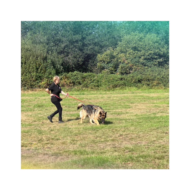 TRACKING
