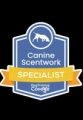 Canine scent instructor