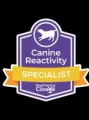 Canine reactivity specialist