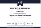 Trainer certification 
